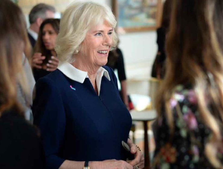 duchesse de cornouailles violences conjugales