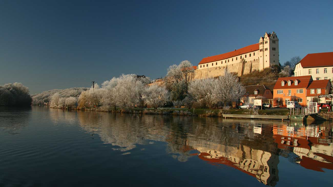 La famille de SaxeMeiningen