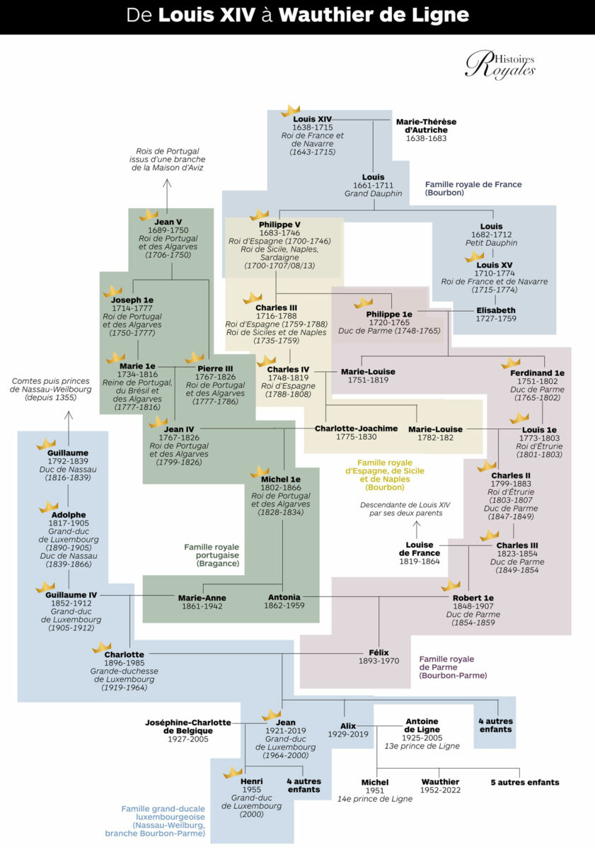 La famille de Ligne et la famille grandducale aux funérailles du prince Wauthier de Ligne à Belœil La famille de Ligne et la famille grandducale aux funérailles du prince Wauthier de Ligne à Belœil