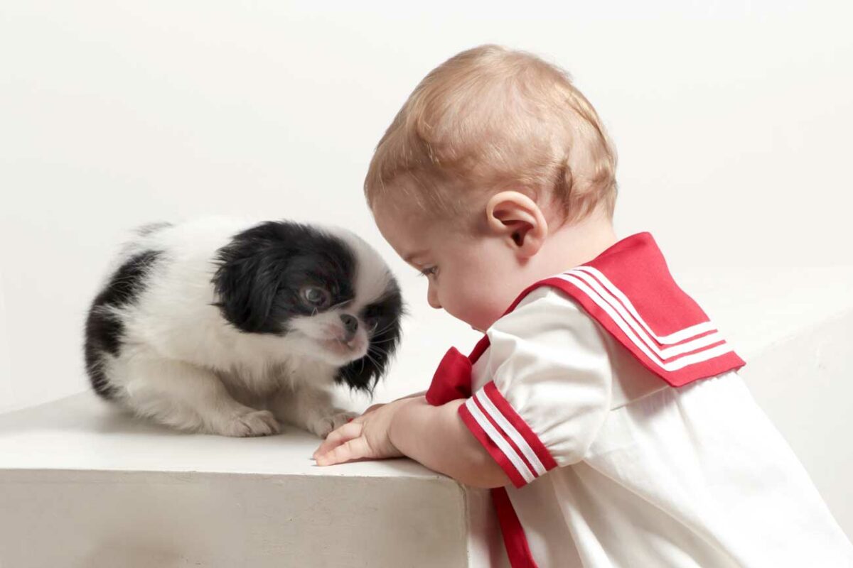 Le prince Alexandre Romanov apprivoise son nouveau chien Ming