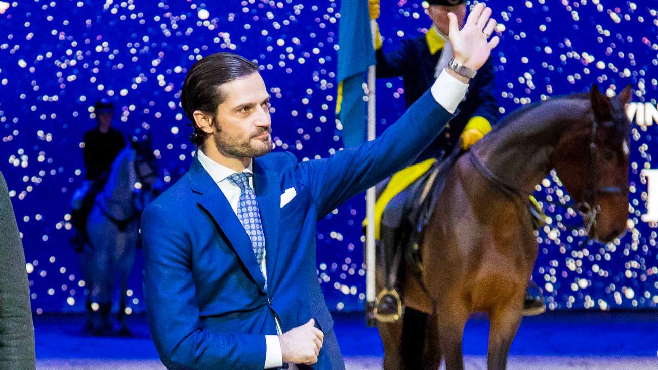 Rênes D'équilibre Carl Hester Pour Poney - Poignée Caoutchouc Noir - Occasion En Bon état