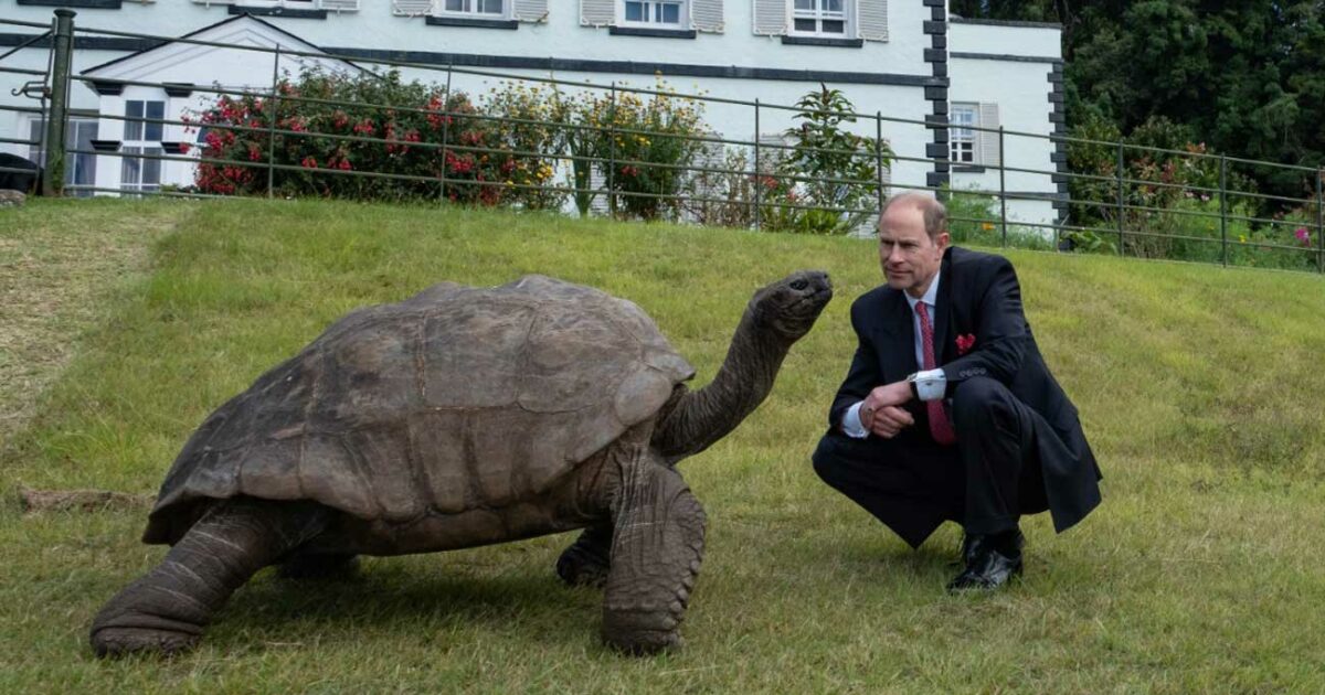Le prince Edward rencontre une tortue presque bicentenaire sur l'île de