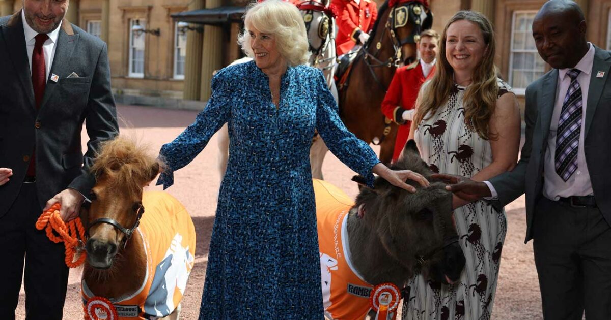 La reine Camilla invite un âne et un poney à Buckingham