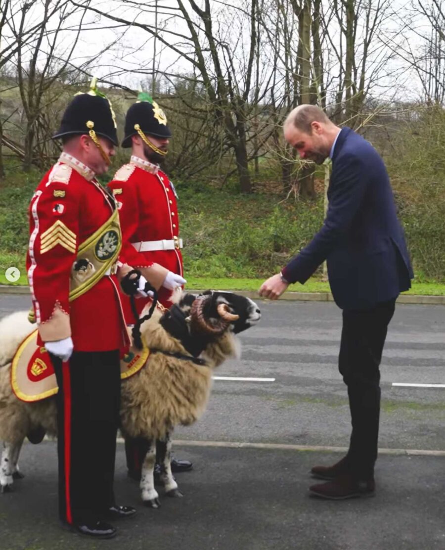 le-prince-william-rend-visite-aux-familles-du-mercian-regiment-avant-no-l