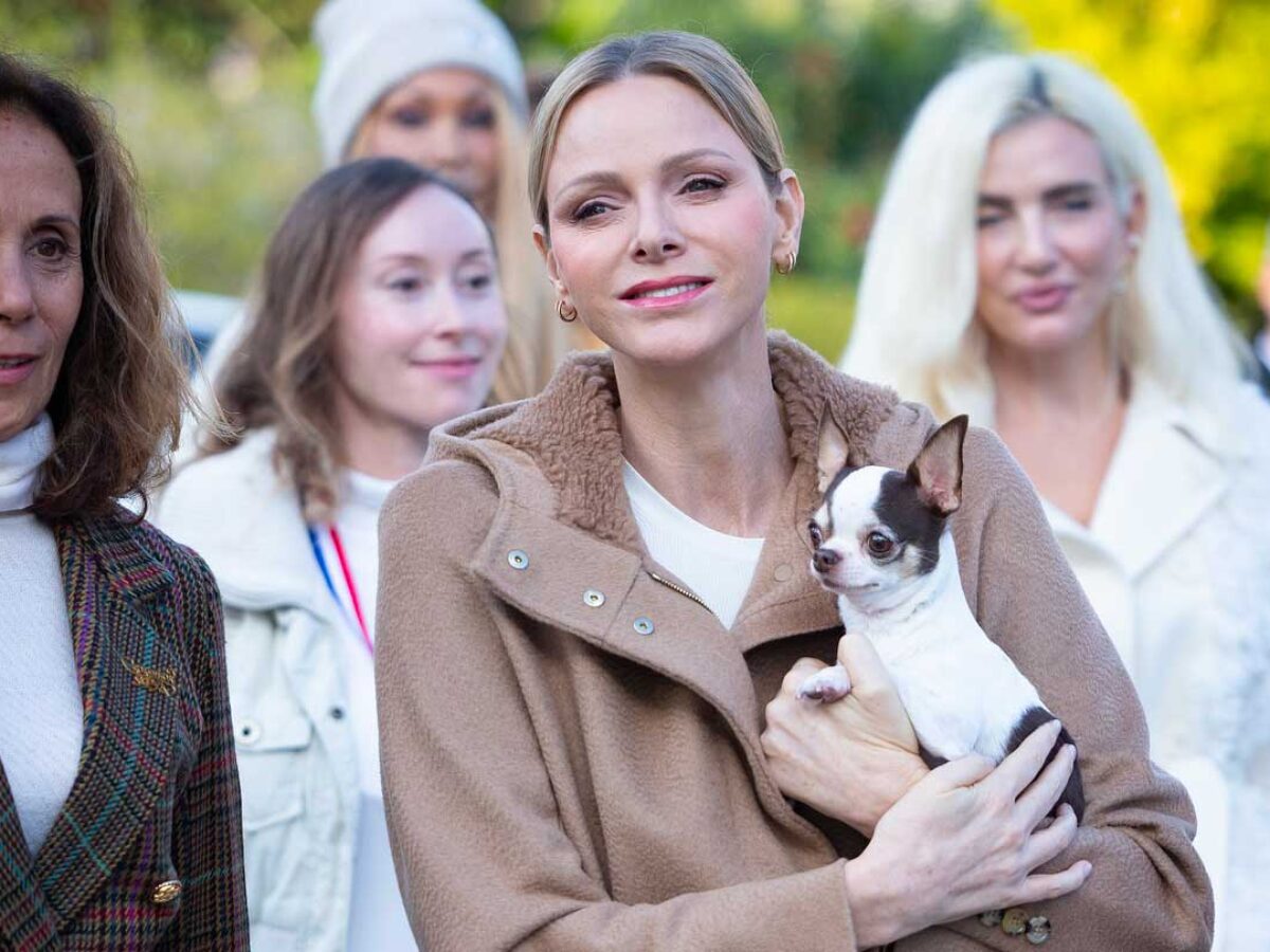 https://histoiresroyales.fr/wp-content/uploads/2025/11/photos-princesse-charlene-de-monaco-marche-solidaire-rokethon-chien-chihuahua-harley-1200x900.jpg
