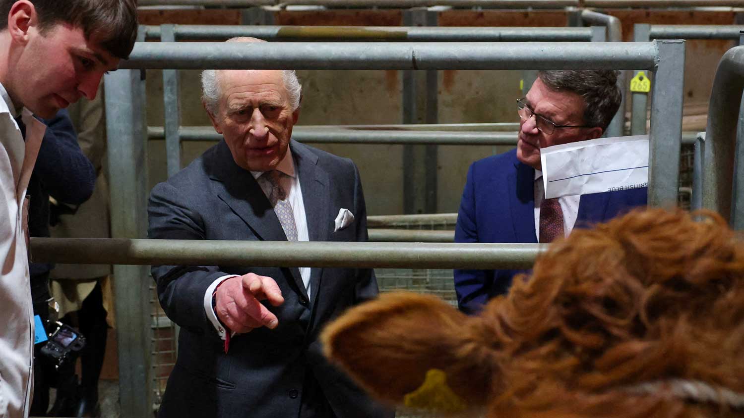 Le roi Charles III visite le marché aux bestiaux de Clitheroe